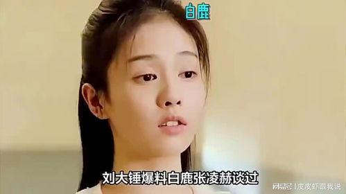 刘大锤爆料娱乐圈小说,娱乐圈幕后风云录 第3张 刘大锤爆料娱乐圈小说,娱乐圈幕后风云录 第3张